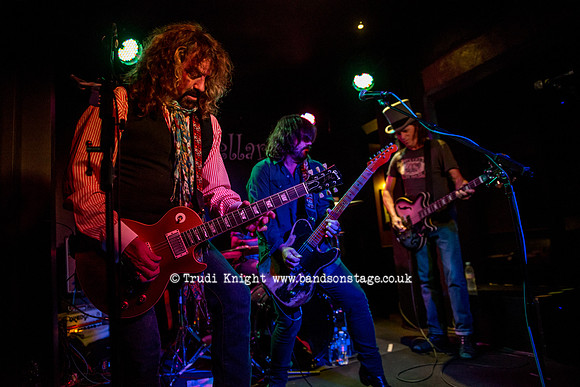 The Bluefields
