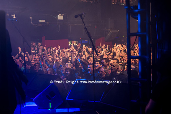 The Wildhearts