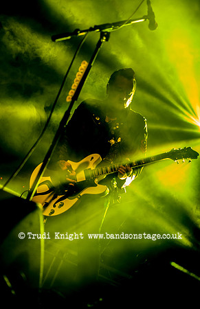The Wildhearts