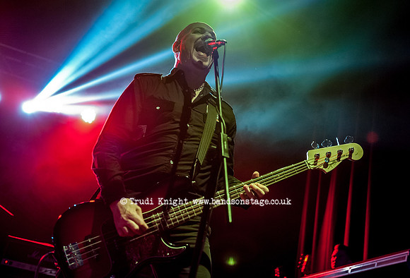The Wildhearts