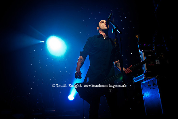 The Wildhearts