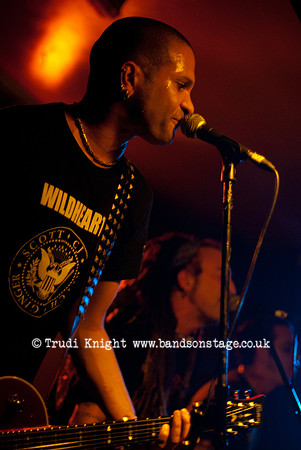 The Wildhearts