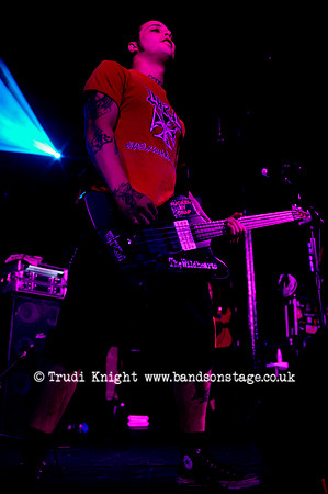The Wildhearts
