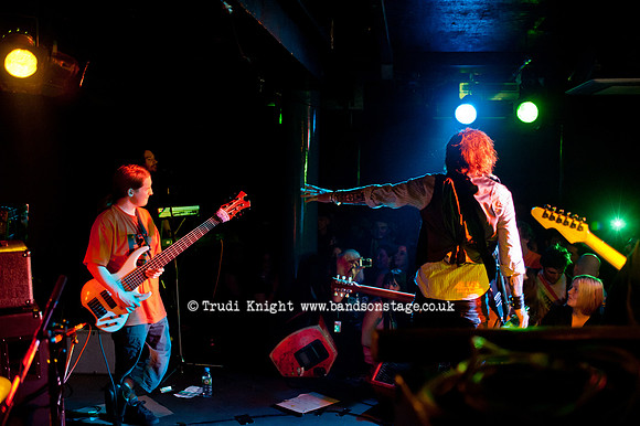Ginger Wildheart