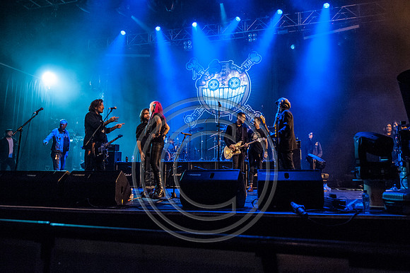 Ginger Wildheart Birthday Bash 2014