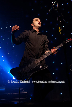 The Wildhearts