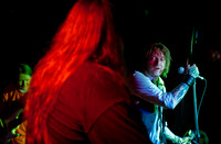Ginger Wildheart