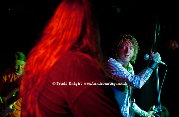 Ginger Wildheart