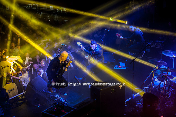 The Wildhearts