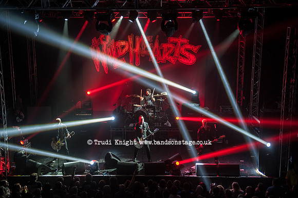 The Wildhearts