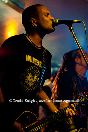 The Wildhearts
