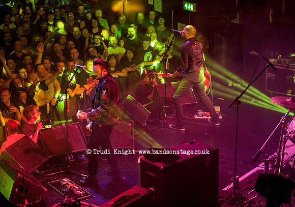The Wildhearts