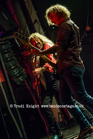 Dan Baird & Homemade Sin