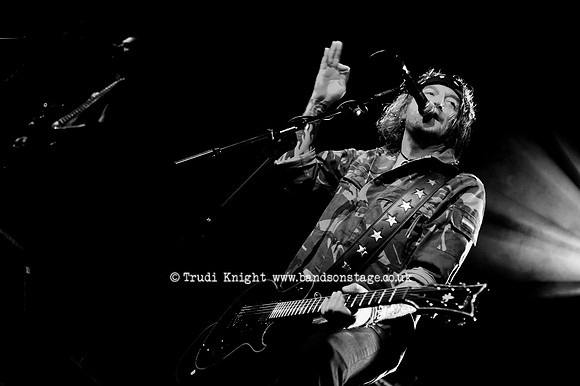 The Wildhearts