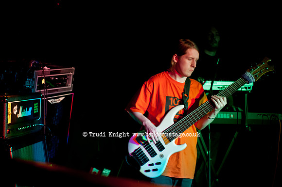 Ginger Wildheart