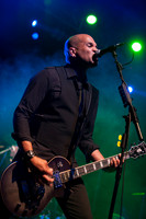The Wildhearts