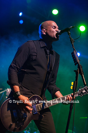 The Wildhearts