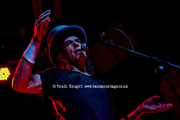 Dan Baird & Homemade Sin