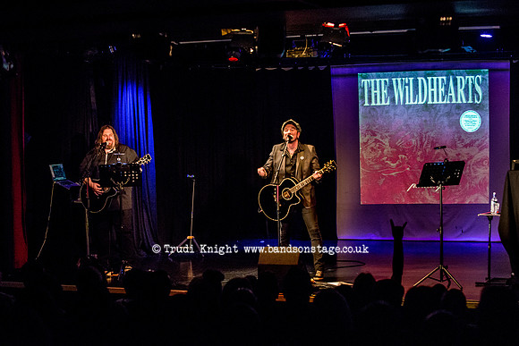 Ginger Wildheart Songs and Words