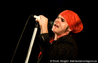 The Quireboys
