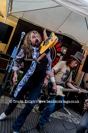 Dan Baird & Homemade Sin