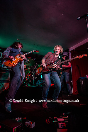 Dan Baird & Homemade Sin