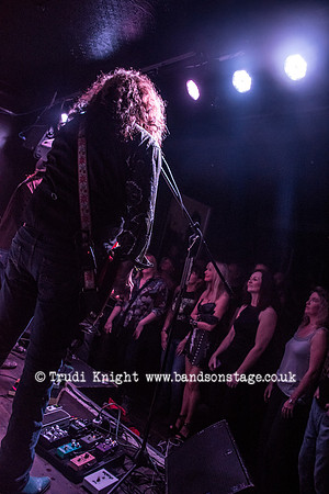 Dan Baird & Homemade Sin