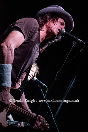 Dan Baird & Homemade Sin