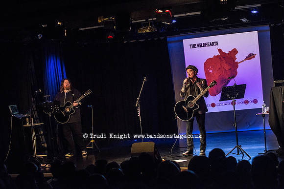 Ginger Wildheart Songs and Words