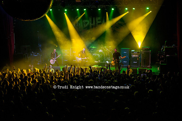 The Wildhearts