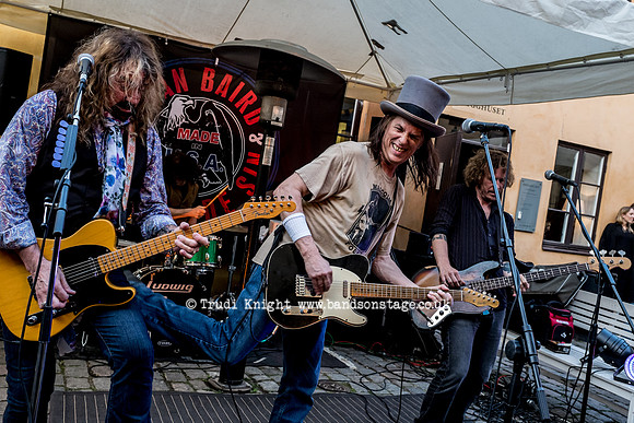 Dan Baird & Homemade Sin
