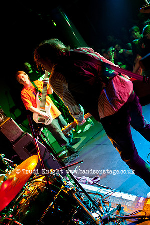 Ginger Wildheart