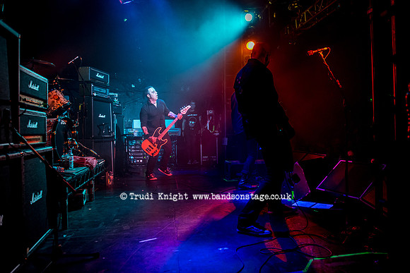 The Wildhearts