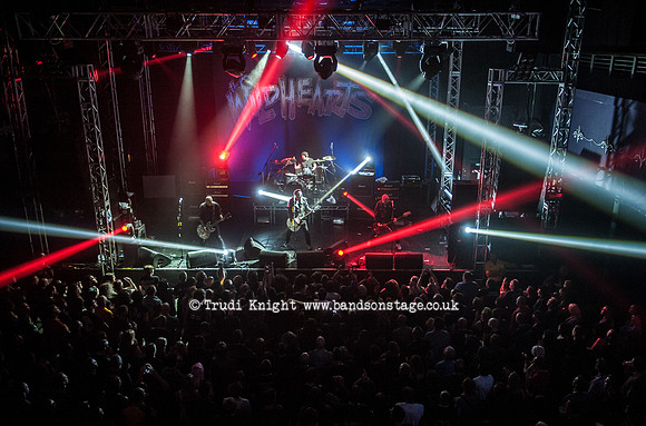 The Wildhearts