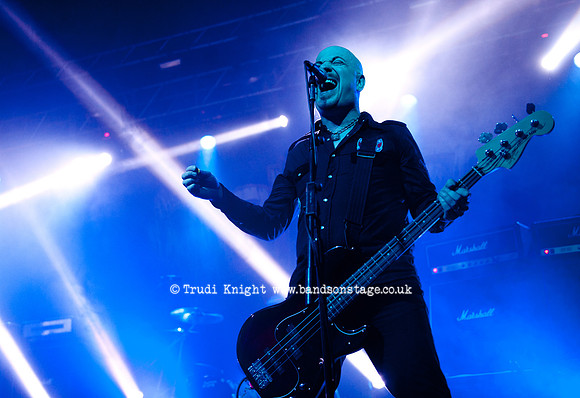 The Wildhearts