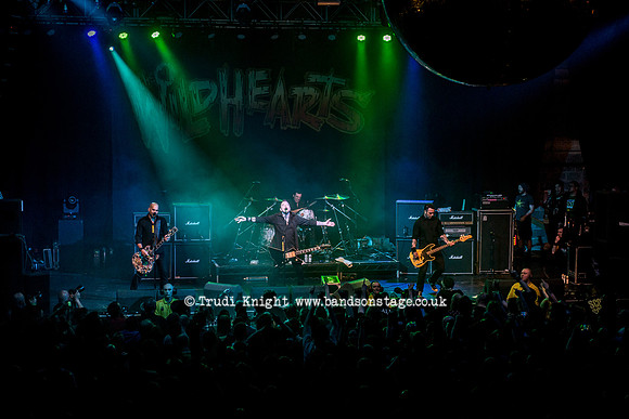 The Wildhearts