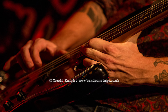 Dan Baird & Homemade Sin