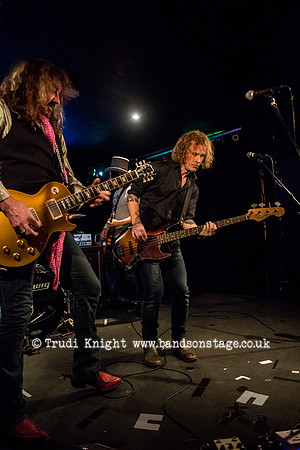 Dan Baird & Homemade Sin