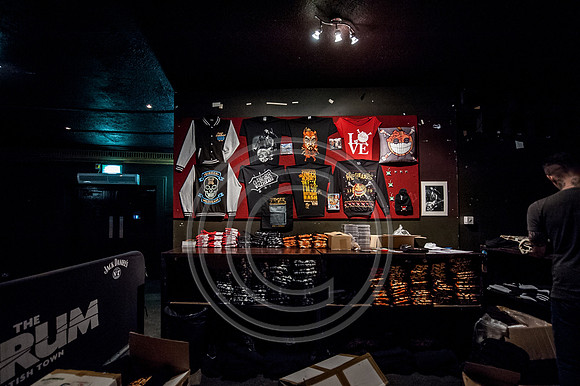 Ginger Wildheart Birthday Bash 2014