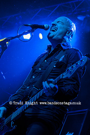 The Wildhearts