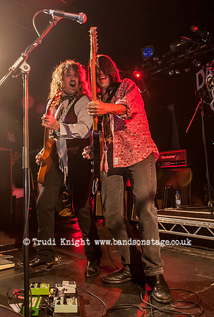 Dan Baird & Homemade Sin