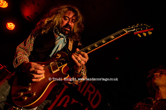 Dan Baird & Homemade Sin