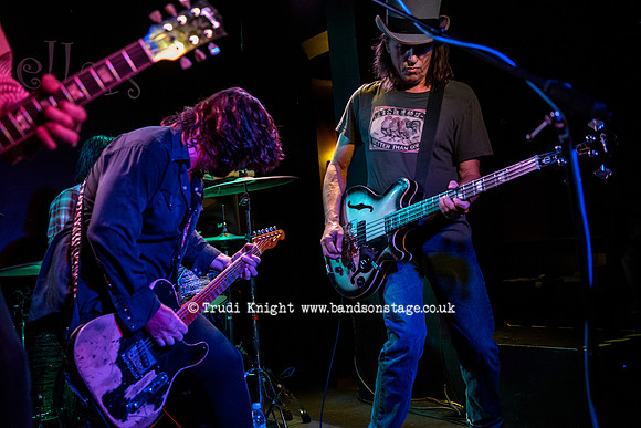 The Bluefields