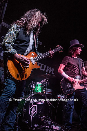 Dan Baird & Homemade Sin