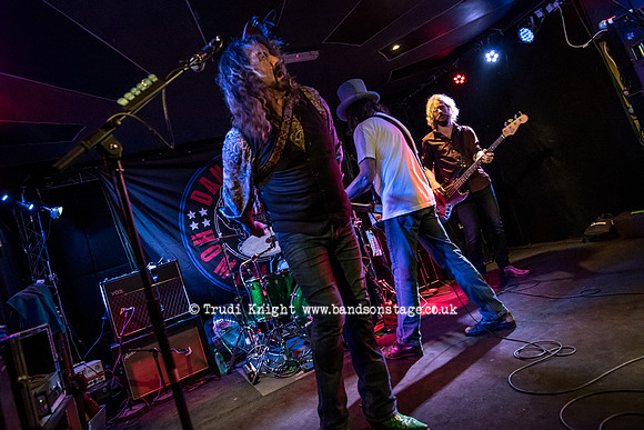 Dan Baird & Homemade Sin